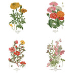 Vintage Botanical Greeting Card Set – Blank Flower Note Cards with Envelopes (Pack of 4)