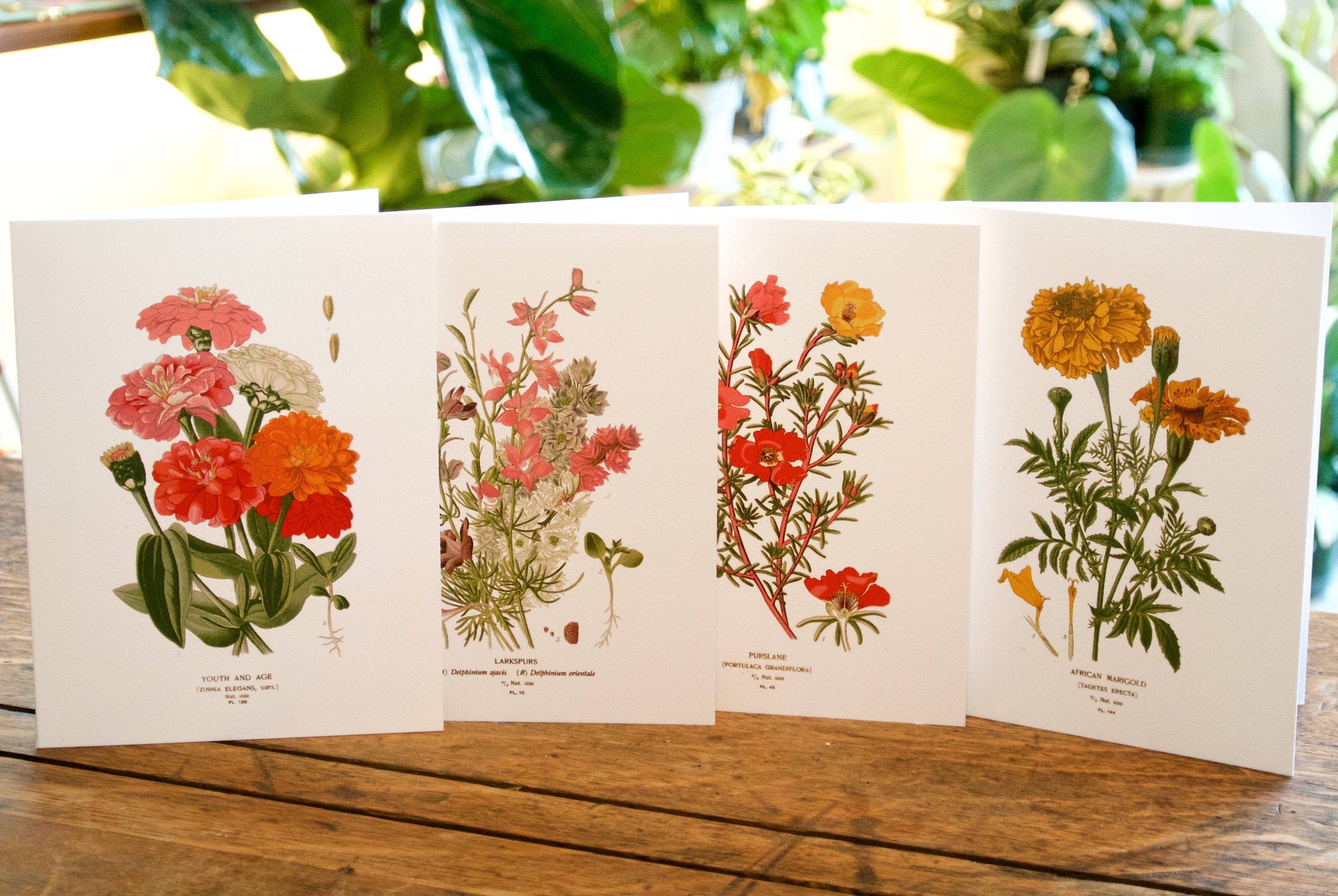 Vintage Botanical Greeting Card Set – Blank Flower Note Cards with Envelopes (Pack of 4)