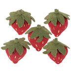 Strawberry Magnet Set – 5-Piece Felt Decorative Magnets for Kitchen or Office
