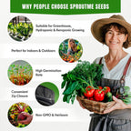 Culinary Classics 20 Vegetable Seeds Variety pack