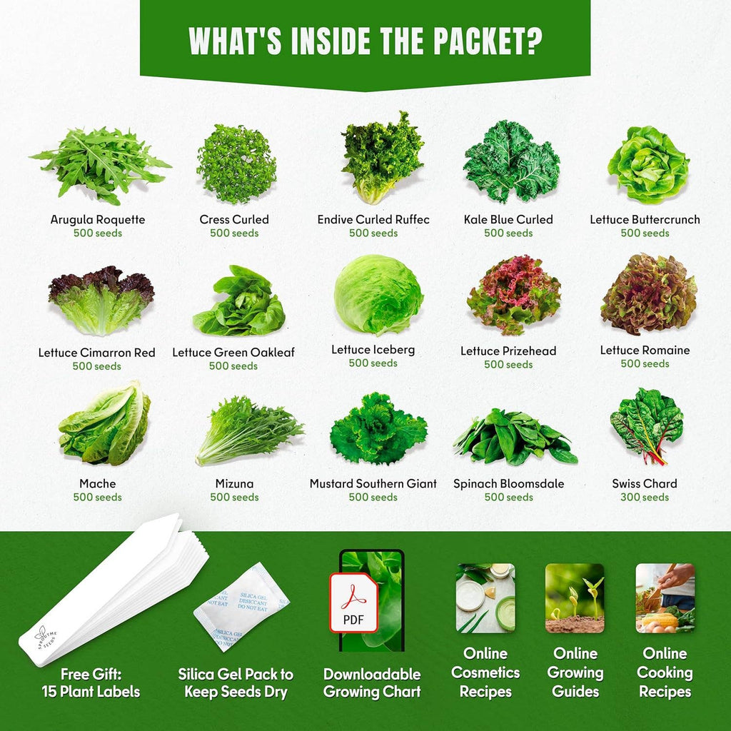 15 Lettuce & Salad Greens Seeds Variety Pack - Lettuce Garden Starter Kit with Plant Labels