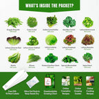 15 Lettuce & Salad Greens Seeds Variety Pack - Lettuce Garden Starter Kit with Plant Labels