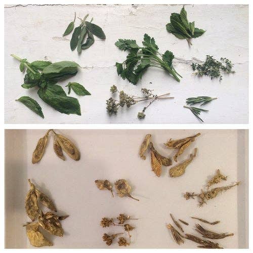 Cast Brass Herb Markers