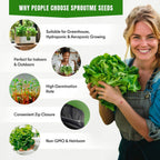 15 Lettuce & Salad Greens Seeds Variety Pack - Lettuce Garden Starter Kit with Plant Labels