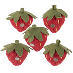 Strawberry Magnet Set – 5-Piece Felt Decorative Magnets for Kitchen or Office